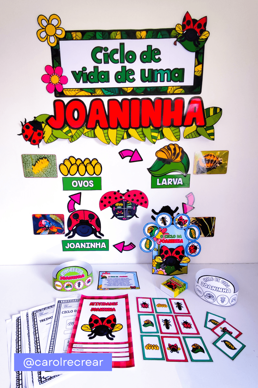 KIT CICLO DE VIDA DA JOANINHA
