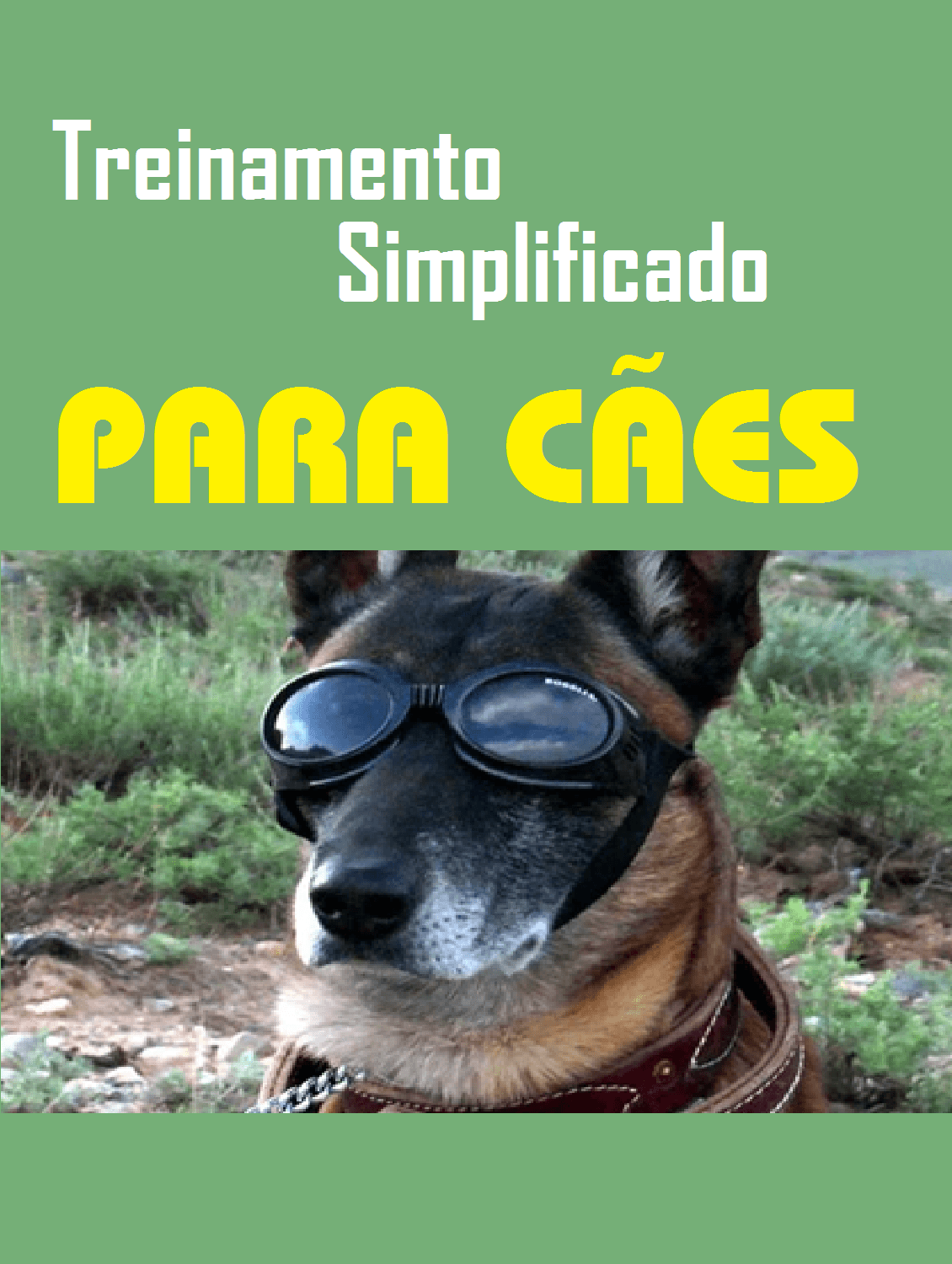 Treinamento Simplificado Para Cães