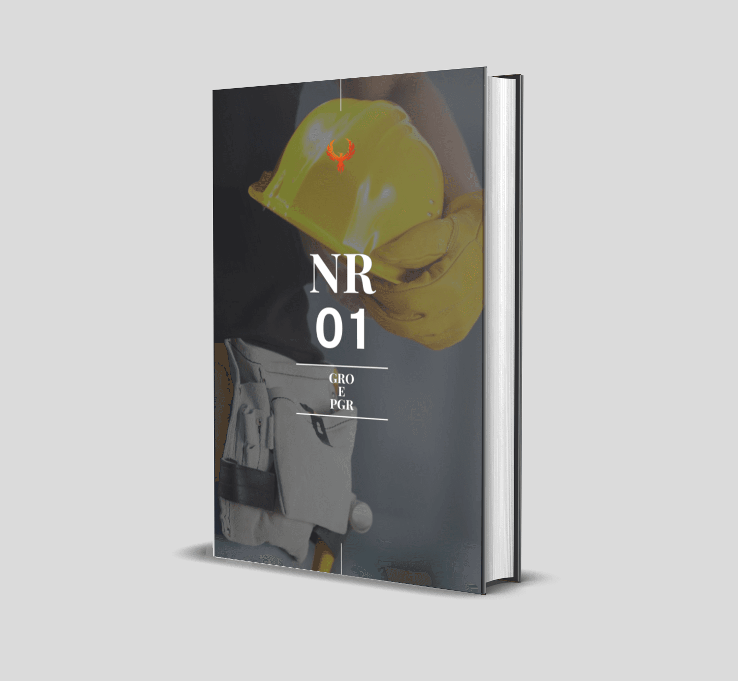 Curso de NR 1 - GRO e PGR