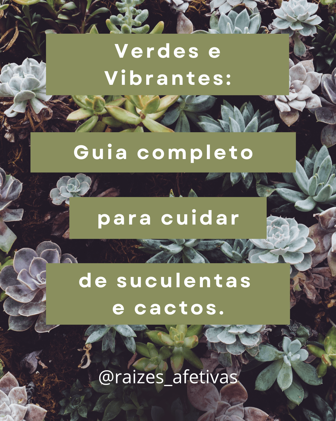 Guia para cultivo suculentas e cactus.
