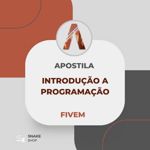 Curso Introdução a Programação - FIVEM