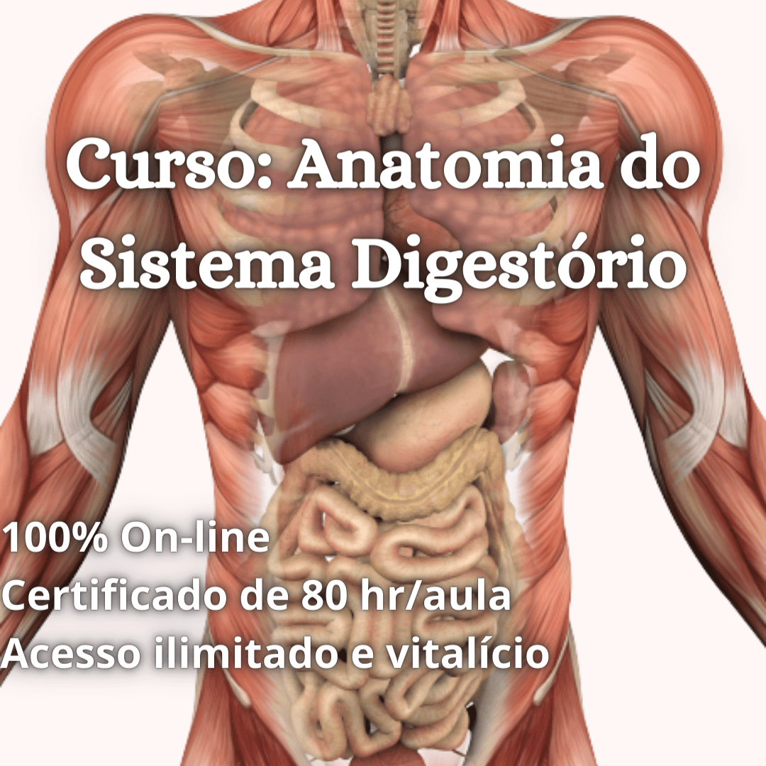Curso de anatomia e fisiologia do sistema digestório