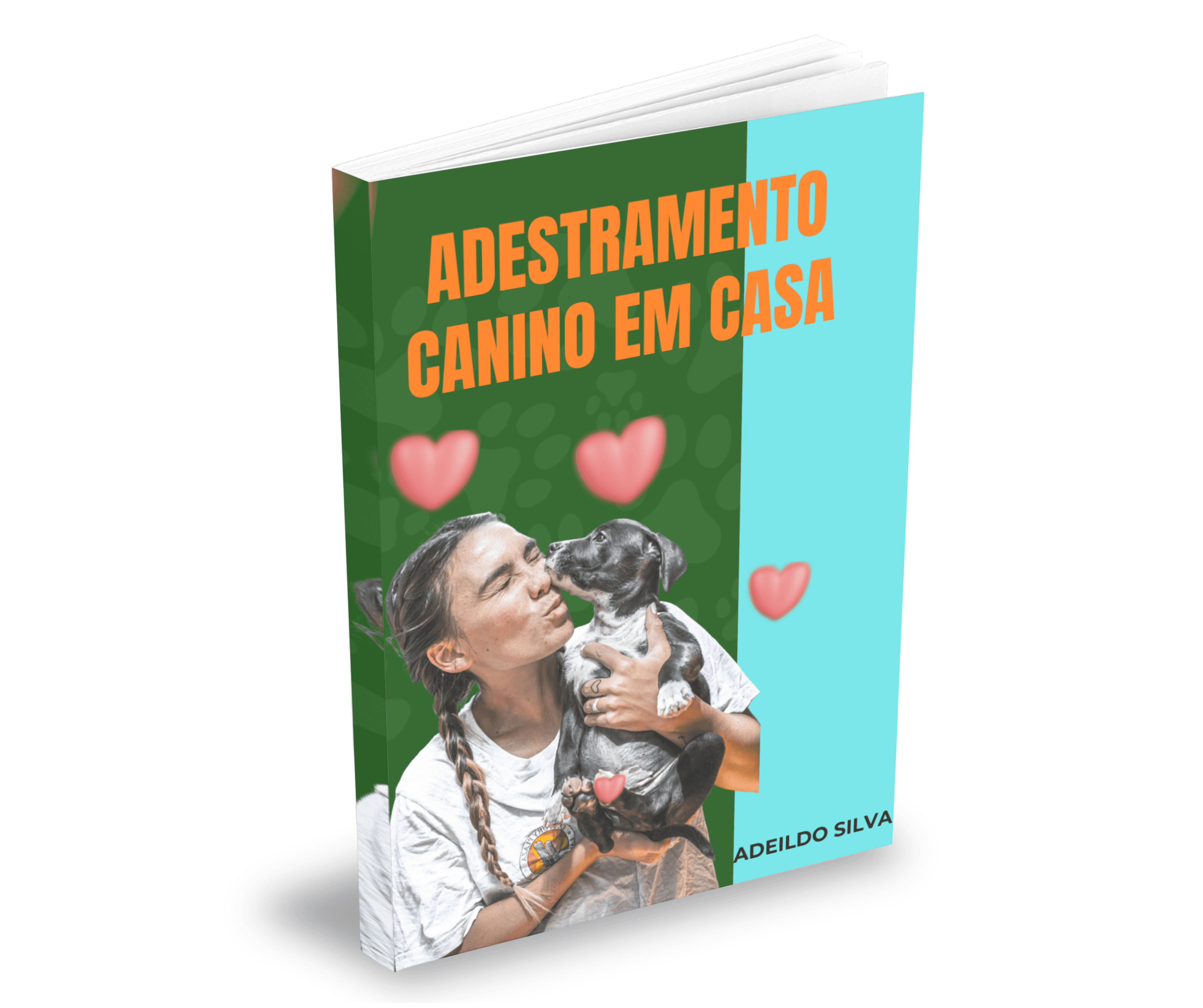 ADESTRAMENTO CANINO EM CASA