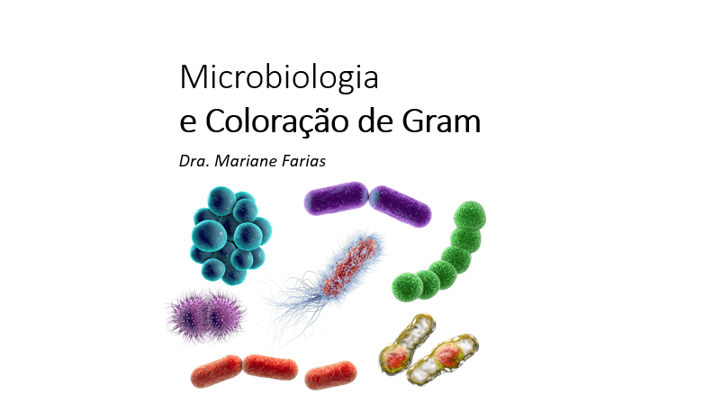 Microbiologia e Coloração de Gram