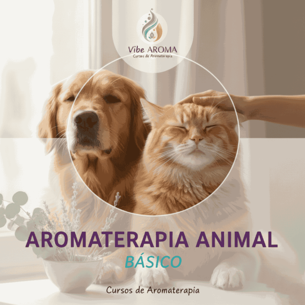 Curso de Aromaterapia Animal: Do Básico à Prática Avançada