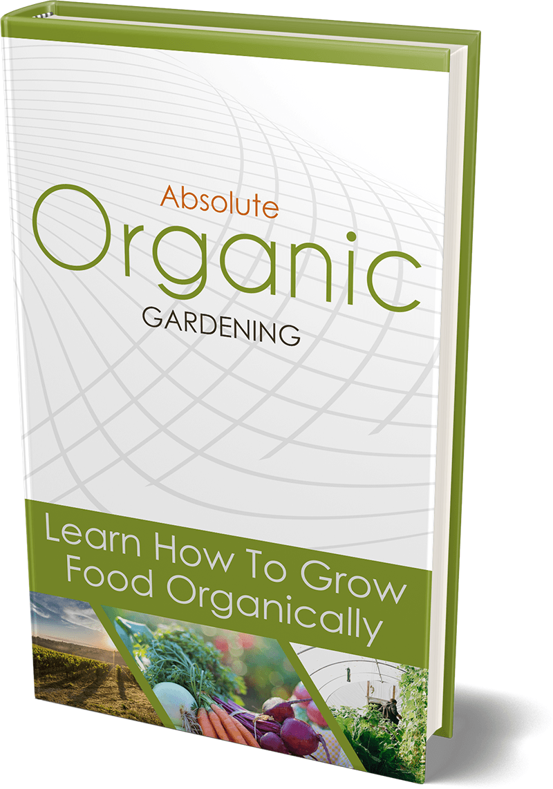 Curso Organic Absolut Gardening