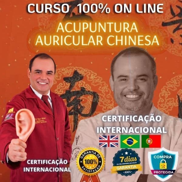 CURSO DE FORMAÇÃO EM AURICULOTERAPIA CHINESA - ITAS CURSOS