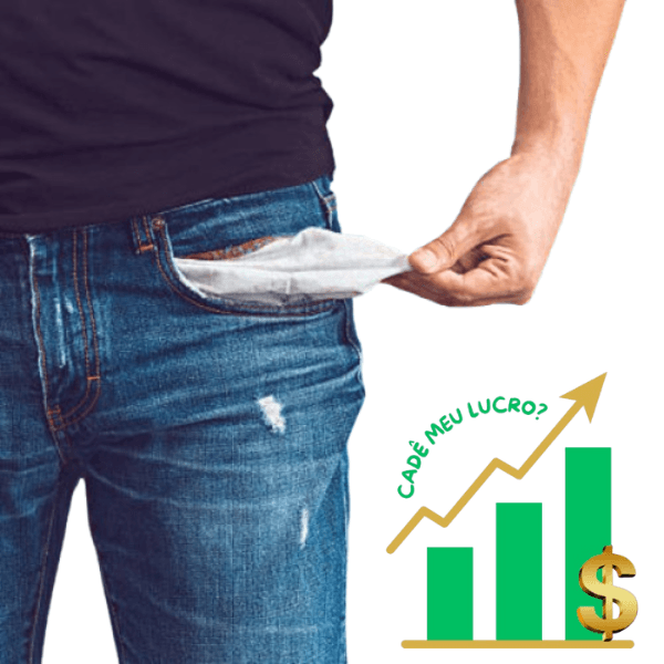 Gestão Financeira Para Pequenas e Médias Empresas: Curso: Cadê Meu Lucro?