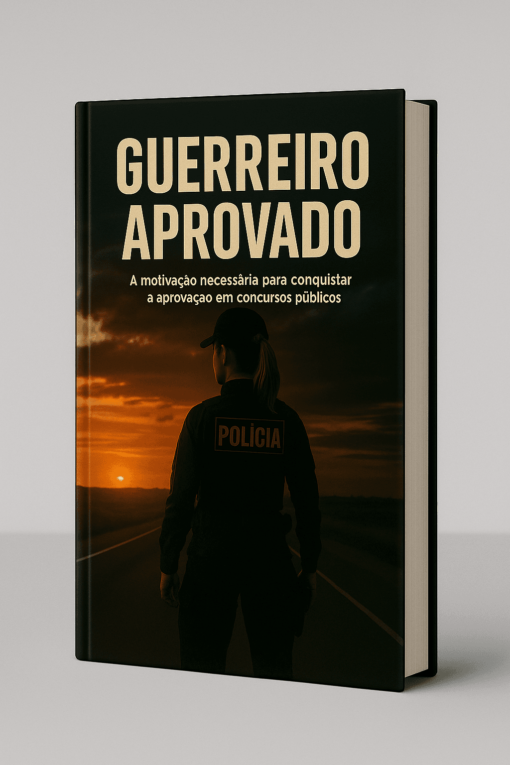 GUERREIRO APROVADO