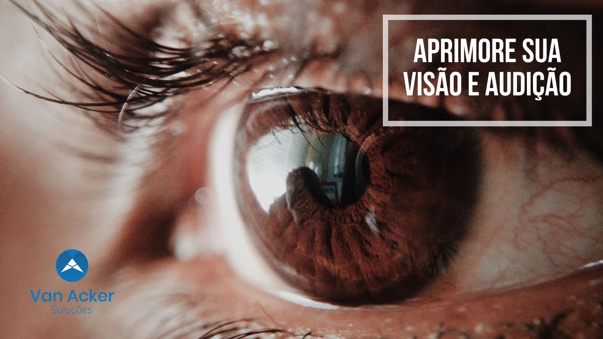E-book do curso: Aprimore sua visão e sua audição