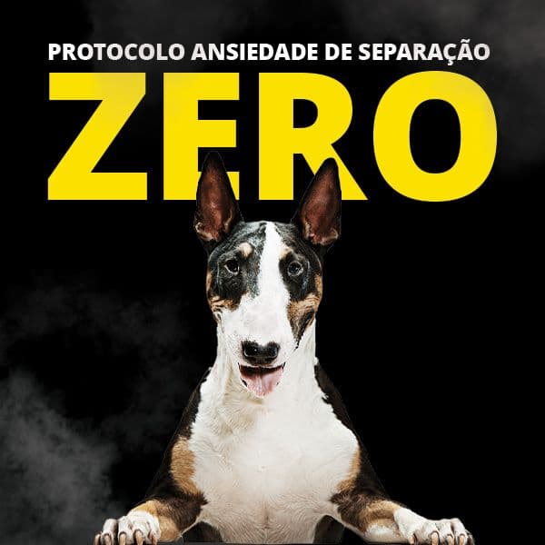 PROTOCOLO ANSIEDADE DE SEPARAÇÃO ZERO