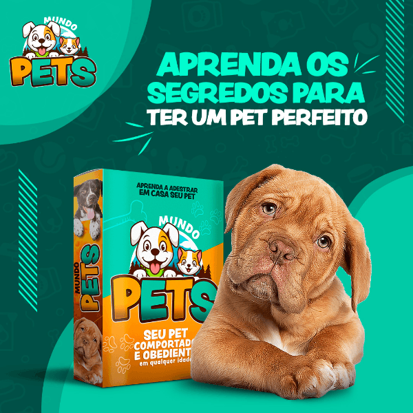 MUNDO PETS: ADESTRAMENTO DE CÃES