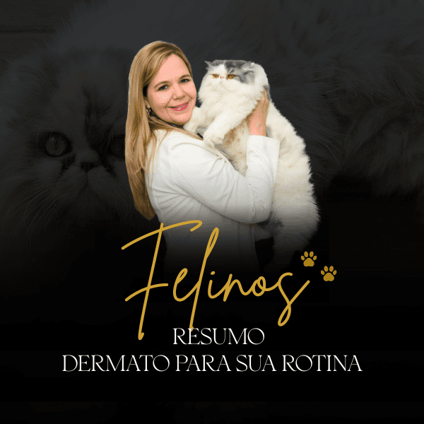 Felinos- resumo dermato para a sua rotina