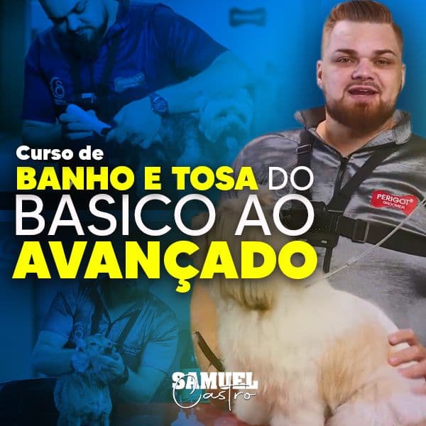 Curso de Banho e Tosa do Básico ao Avançado com Samuel Castro