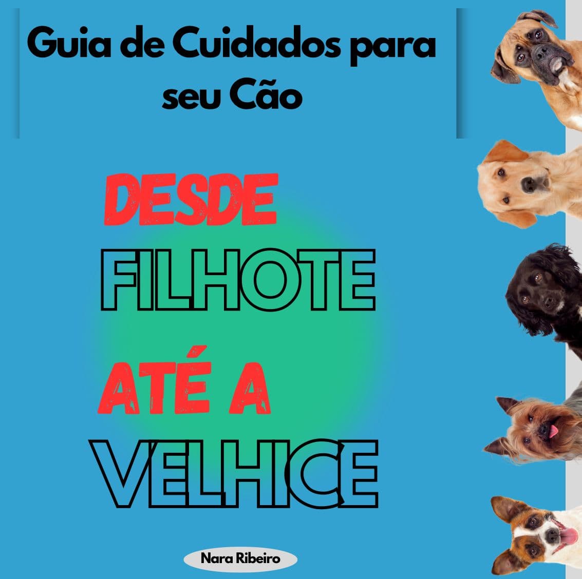 Guia de Cuidados para seu Cão desde Filhote até a Velhice - Ideal para Iniciantes