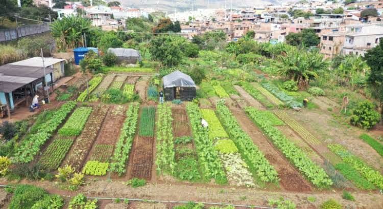 CONCURSO - ENGENHARIA AGRONÔMICA / ENGENHEIRO AGRÔNOMO