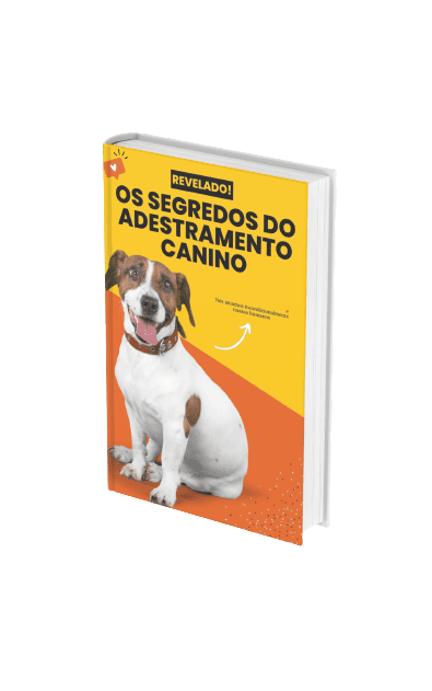 Os Segredos do Adestramento Canino