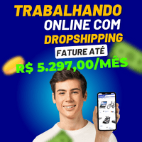 Trabalhando Online com Dropshipping