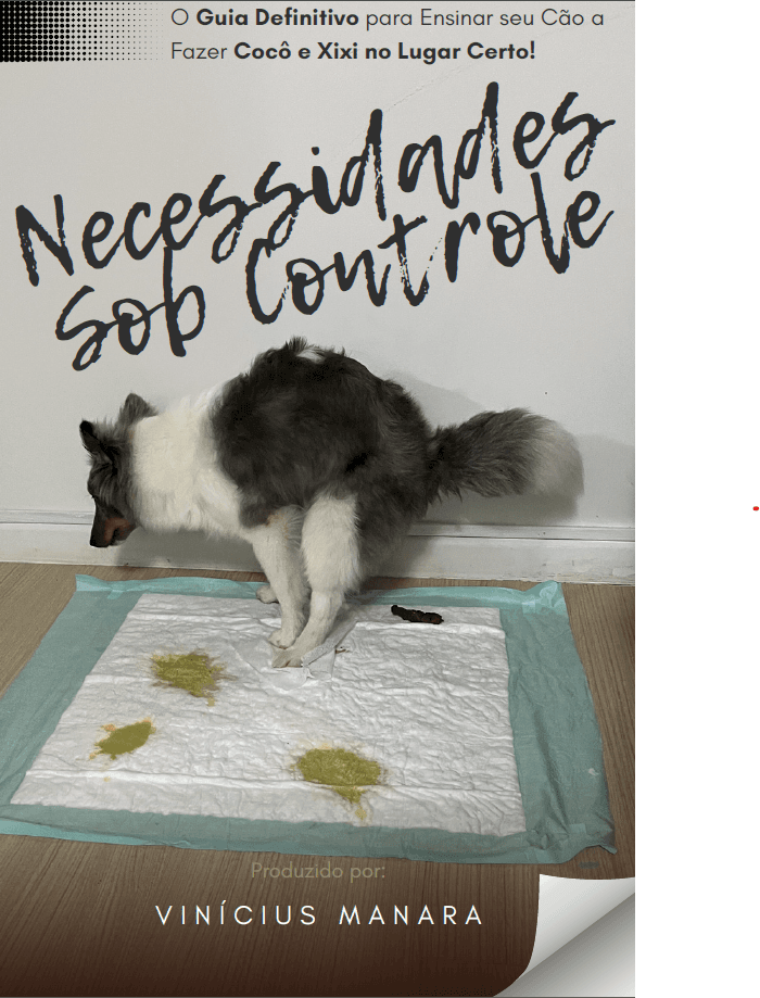 Necessidades Sob Controle: O Guia Definitivo para Ensinar seu Cão a Fazer Coco e Xixi no Lugar Certo!
