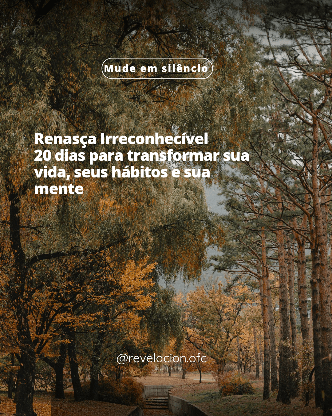 Desafio de 20 Dias – 30 Minutos por Dia para Transformar Seu Corpo e Sua Mente
